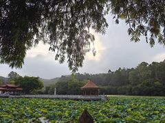 -南国桃园旅游度假区