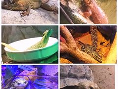 -常州淹城野生动物世界