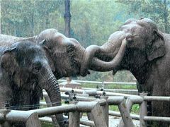 -西安秦岭野生动物园