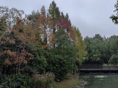 -长广溪湿地公园