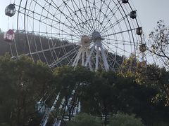 -峙山公园