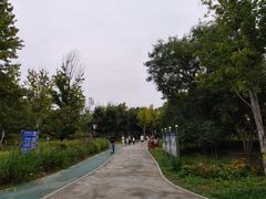-回龙观体育文化公园