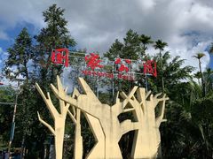 -海南热带雨林国家公园吊罗山景区