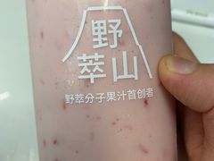 -野萃山·潮汕厚果汁(十亩地店)