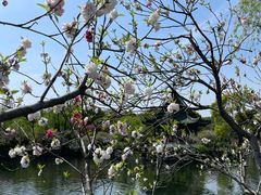 -无锡蠡湖国家湿地公园-蠡园