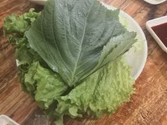 -大派屋