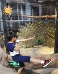 -酷嗒动物文化乐园(cutezoo西溪乐天城店)