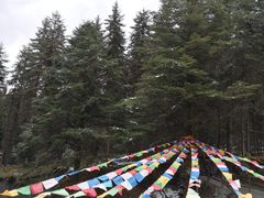 -硗碛藏寨·神木垒景区