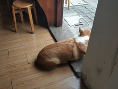 -阿木舂记·特色小吃(平江路店)