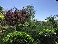 -永定河休闲森林公园