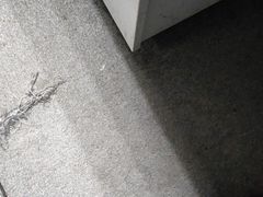 -外婆人家(软件园店)