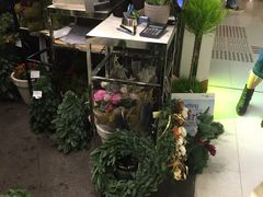 -Flannel Flowers(IFC)