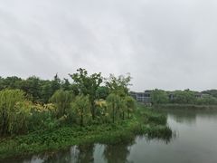 -贡湖湾湿地公园