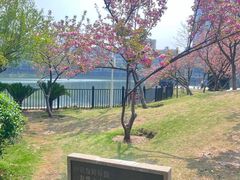 -宝岛公园