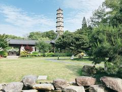 -江心屿景区
