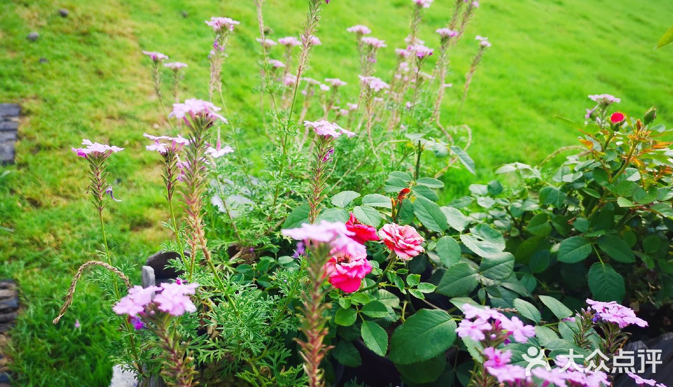 可在点评里选优惠套餐：2