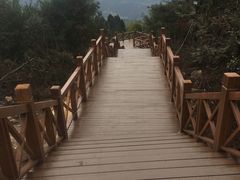 -瑞安圣井山景区