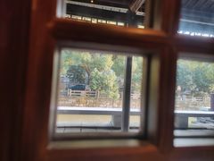 -老头儿油爆虾(胜利河美食街店)