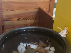 -竹雀古法采耳(青岛麦凯乐店)