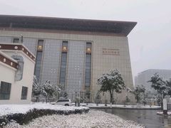 -青海藏文化博物院