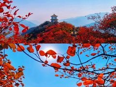 -沉浸北京·团建旅行·密室剧本杀·年会会议轰趴拓展