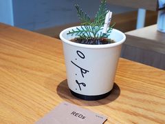 -O.P.S. CAFE