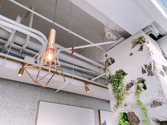 -农畉LONFOOD(福田星河COCOPark店)