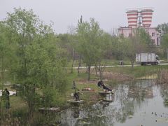 -南湖国家城市湿地公园