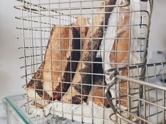 -常识咖啡common sense(春熙路店)