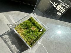 -湖南省地质博物馆