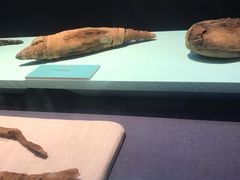 -浙江西湖美术馆
