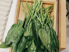 -蝎王府羊蝎子(西直门店)