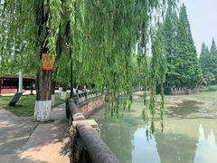 -温江公园