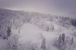 -大秃顶子山(雪谷店)