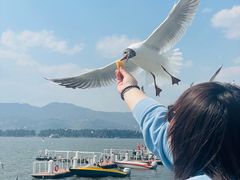 -滇池海埂公园