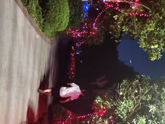 -昆山城市生态森林公园