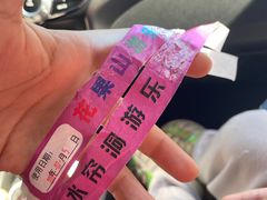 -南宫五洲植物乐园