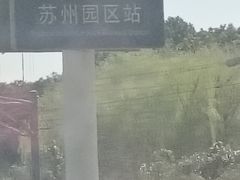 -苏州园区站