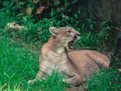 -杭州野生动物世界