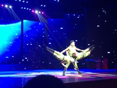 演出-南风大剧院莎梦二人转剧场