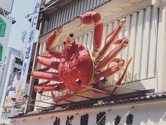 -蟹道乐(道顿堀本店)