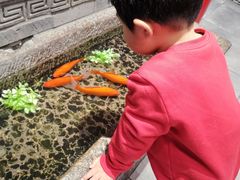 -京味斋·北京烤鸭(北京南站洋桥店)