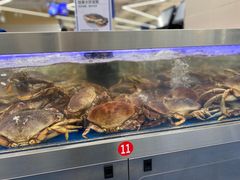 -盒马X会员店(上海森兰商都店)