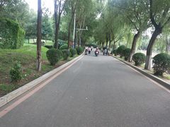 -丁香湖公园