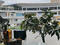 -华馨园北京烤鸭(丽水店)