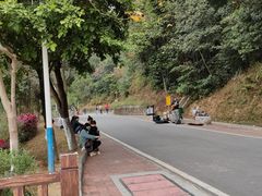 -火炉山森林公园