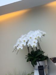 -海涛医疗美容·面部抗衰·注射美鼻