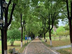 -堤角公园