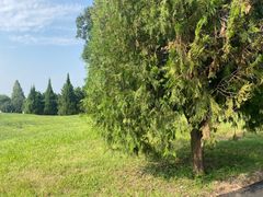 -秦始皇帝陵博物院-丽山园