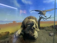 -国家自然博物馆